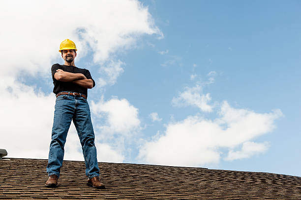 Roof Gutter Cleaning in Clermont, GA